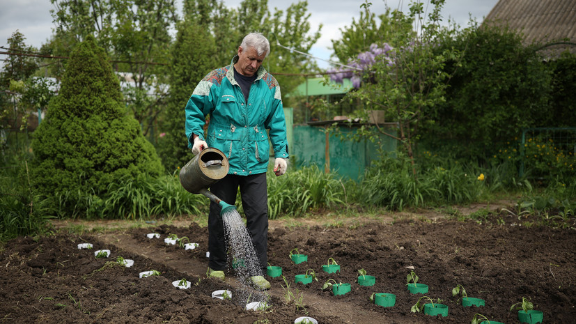 В России с 1 сентября некоторые действия с дачными участками будут под запретом
