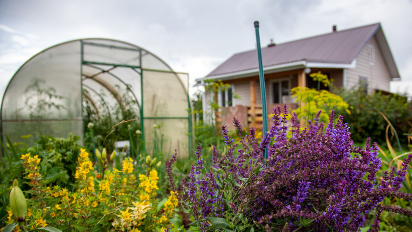 Россиянам рассказали о запрете коммерции на землях СНТ и ОНТ