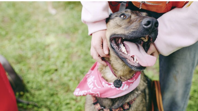 В Москве «Добрые выходные» пройдут 16—17 августа