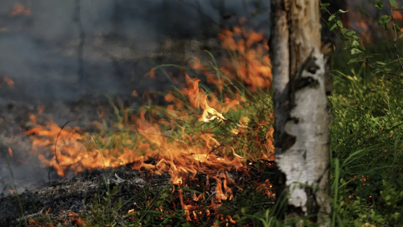 Природный пожар произошёл в Белогорском районе Крыма
