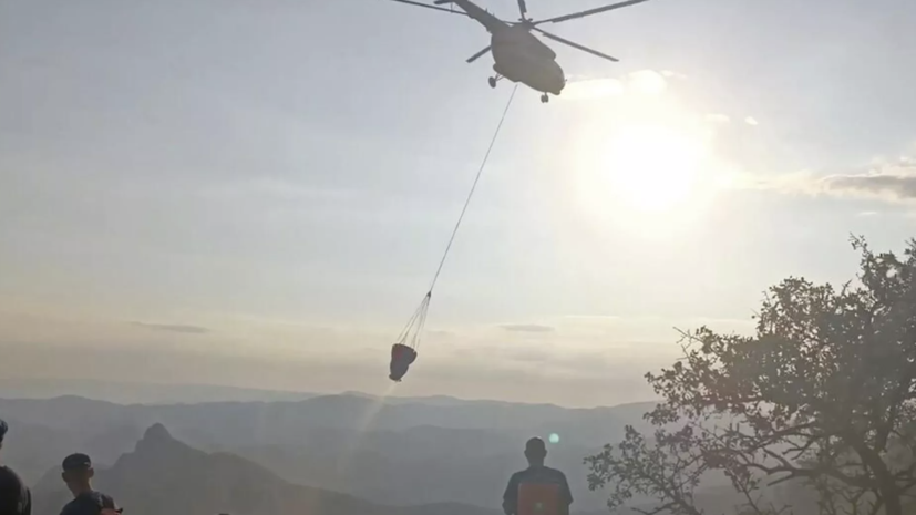 В Крыму локализовали природный пожар на площади 450 га