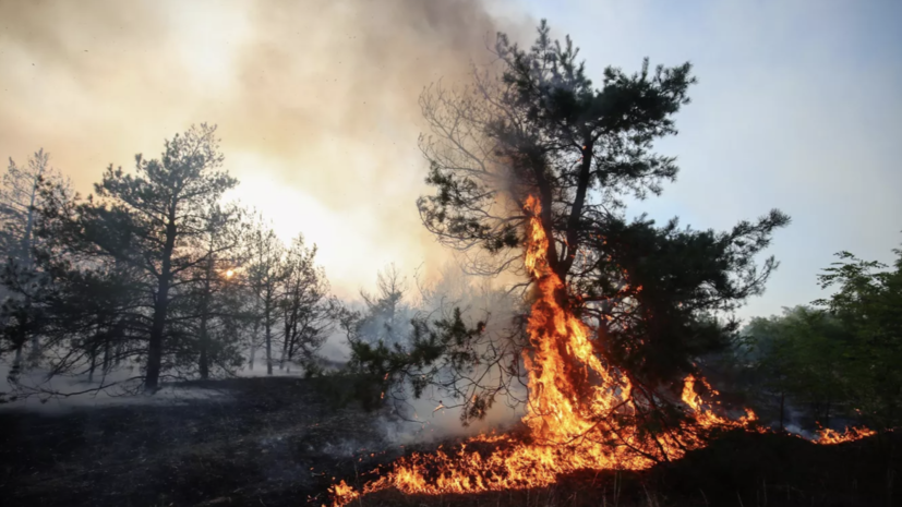 Синоптики предупредили о высокой пожароопасности в Свердловской области