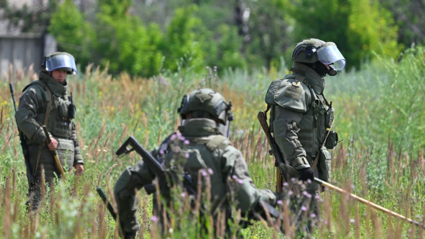 Российские сапёры всё чаще встречают в Белгородской области иностранные боеприпасы