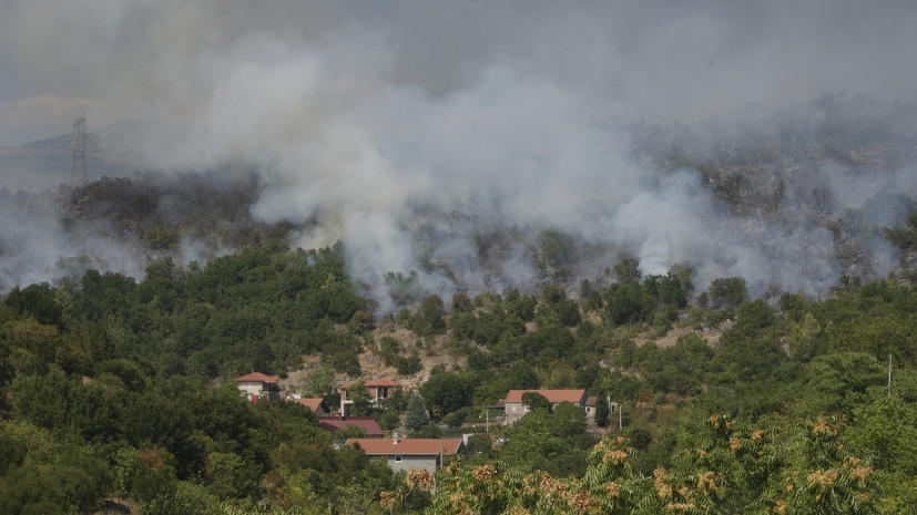 В Черногории из-за лесных пожаров созвали срочное заседание Совбеза