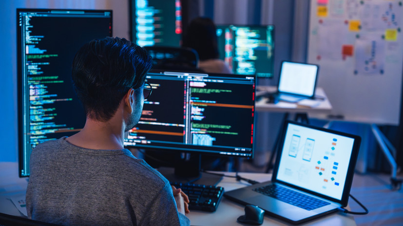 HR Зеленкова назвала август лучшим месяцем для трудоустройства в IT