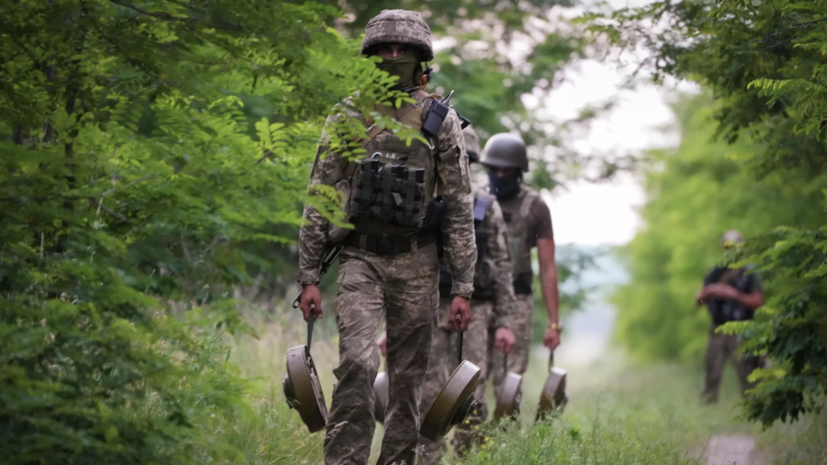 Украинский политтехнолог допустил, что Киев выведет свои войска из ДНР