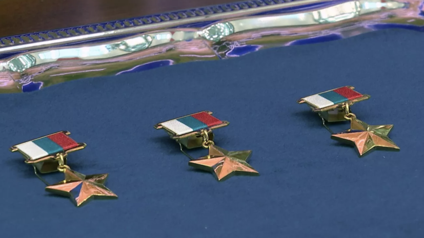 Историк Мягков заявил о важности вручения Звезды Героя потомкам Алексея Береста