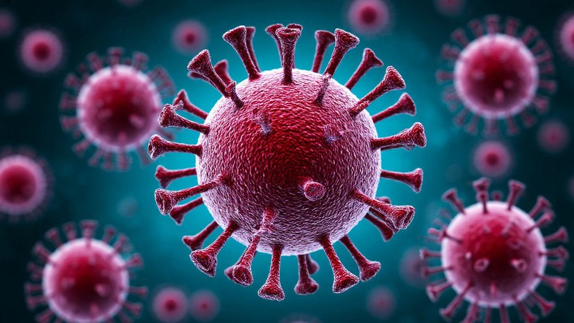 Инфекционист Неронов рассказал о признаках менингококцемии