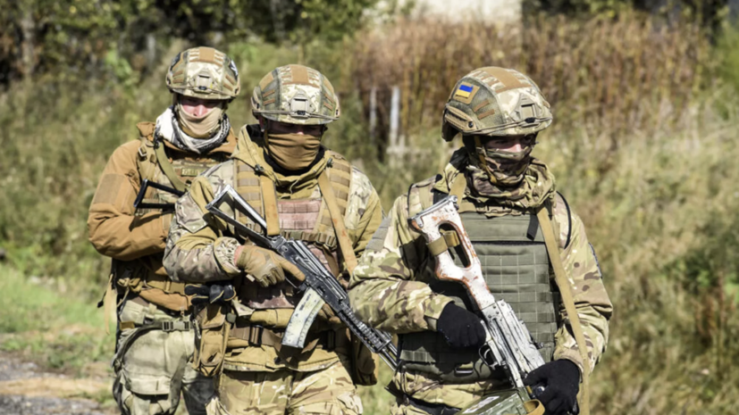 РИА Новости: боевой дух в 95-й бригаде ВСУ упал, военные не хотят на передовую