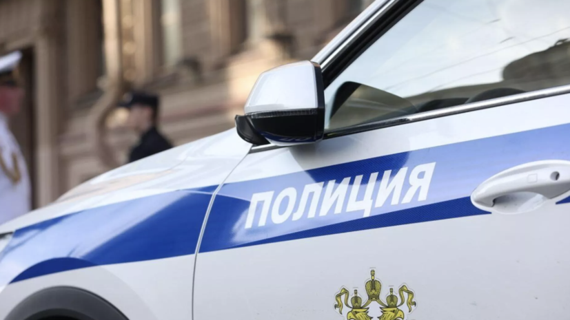 В Ленинградской области арестовали подозреваемую в убийстве мужчины лопатой