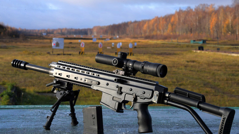 Берич: сербы участвуют в СВО, несмотря на преследование за наёмничество