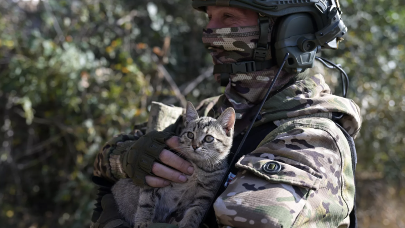 Нимайер: наступление в Донбассе показало силу российской армии