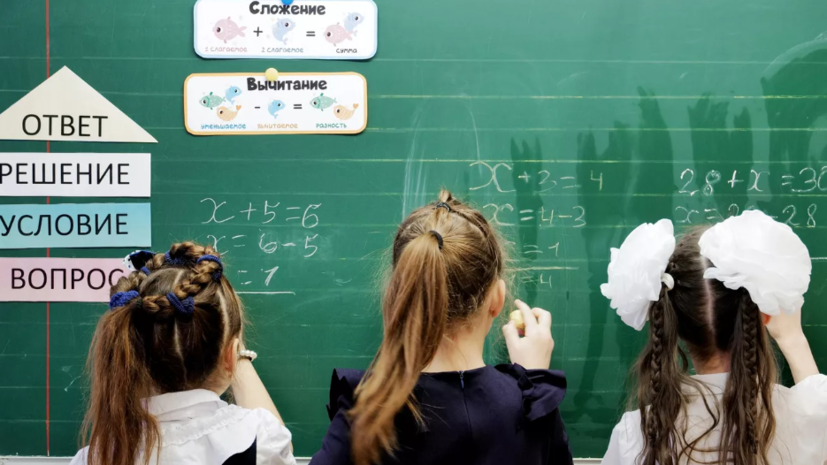 Адвокат Шушаков: внешний вид ученика регулируется уставом школы