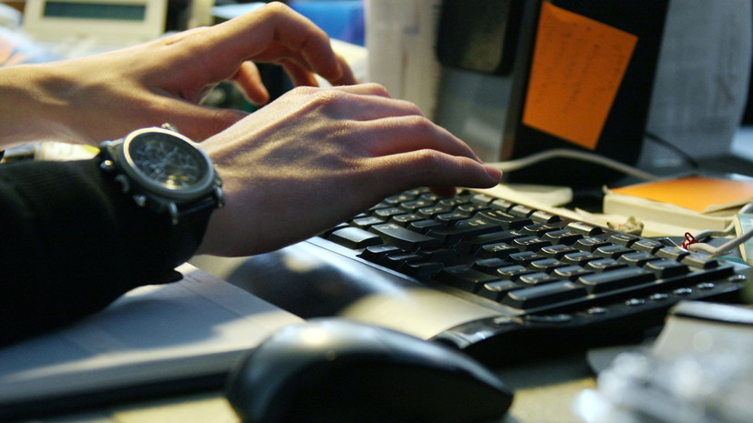 Число самозанятых в Подмосковье превысило 980 тысяч