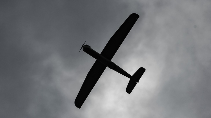 Минпромторг: экспорт российских БПЛА может достичь $12 млрд в год