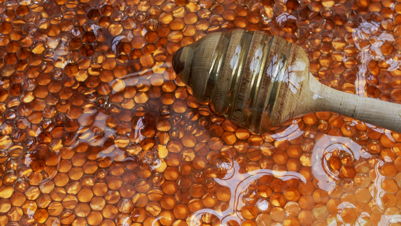 Диетолог Дианова назвала преувеличенными полезные свойства мёда