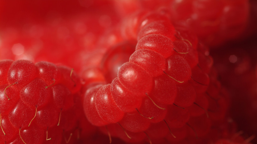 Врач Белоусов: малина содержит множество полезных веществ