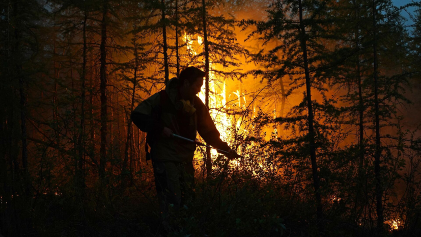 Из Карелии вернулись тюменские десантники-пожарные