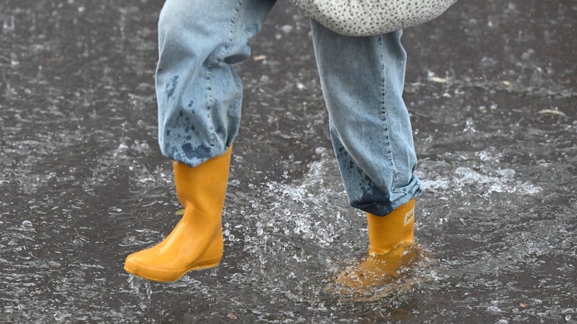 Вильфанд: осадки и заморозки прогнозируются в Сибири и на Дальнем Востоке