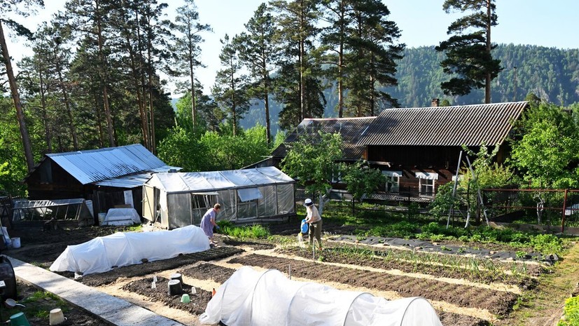 В Госдуме опровергли слухи о новых запретах для дачников с 1 сентября