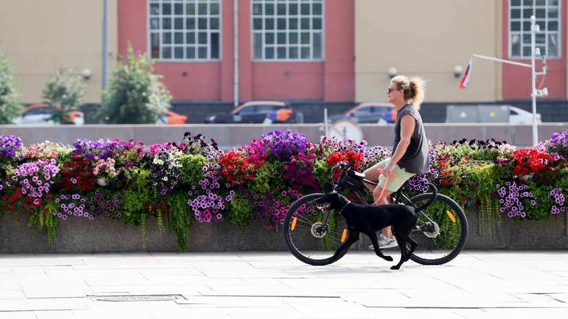 Синоптик Ильин: тепло вернётся в Москву в конце августа