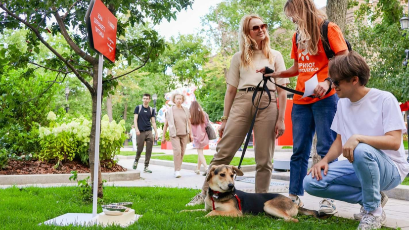 Гости фестиваля «Моспитомец» забрали себе 18 собак и кошек