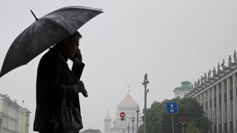Синоптик Ильин спрогнозировал дождливую погоду в Москве на неделе