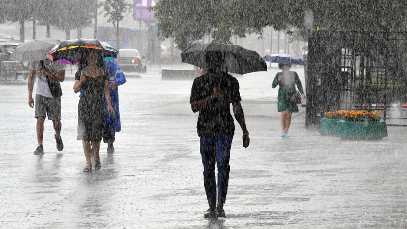 Синоптик Тишковец: в Москве выпало 9 л дождевой воды на метр площади