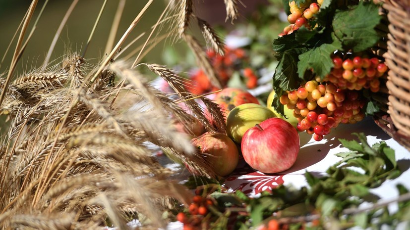 В Яблочный Спас предлагают организовать благотворительную акцию по сбору яблок