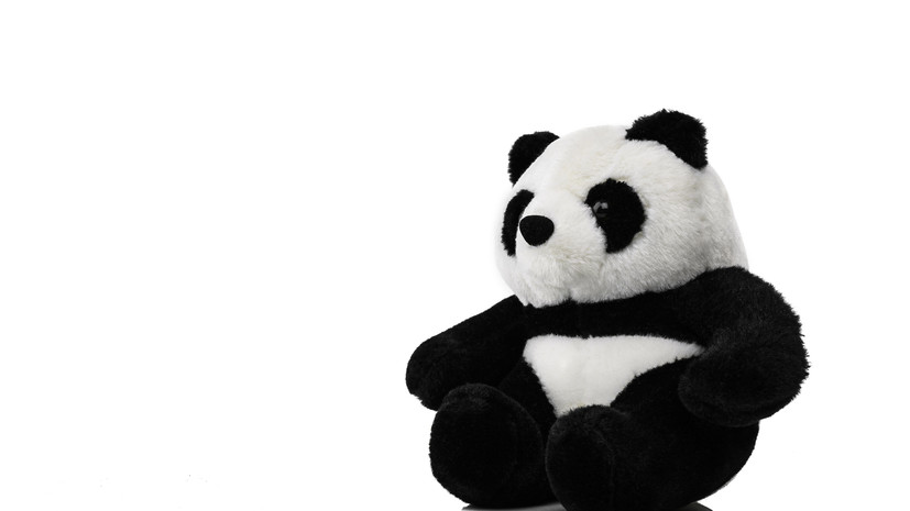 Китайские фанаты подарили российскому бойцу UFC Павловичу игрушечную панду