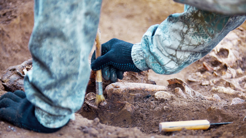 В Челябинской области археологи нашли останки древних воинов