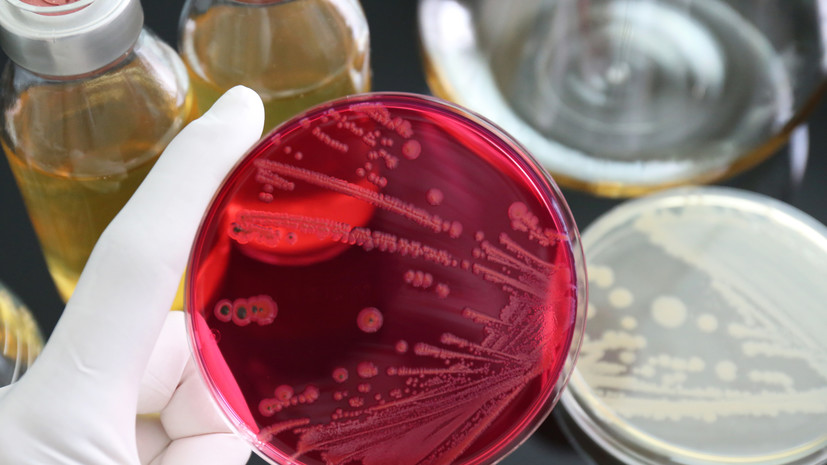 В продукции Кореновского молочно-консервного комбината нашли сальмонеллы