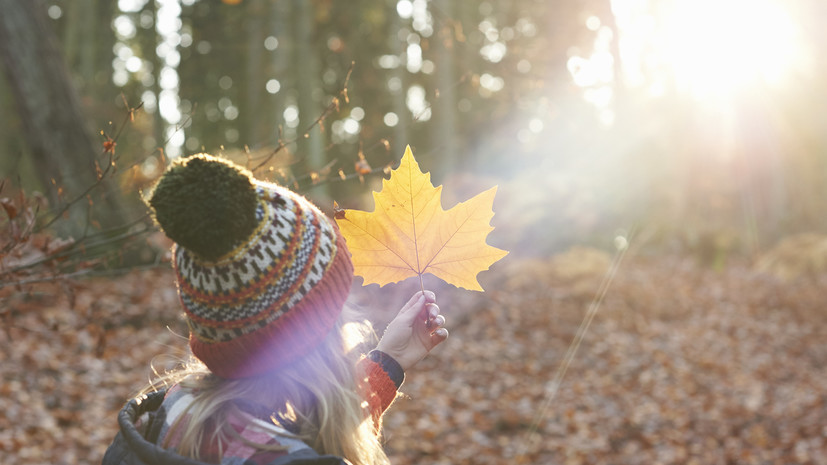 Синоптик Позднякова: в ближайшие дни погода будет носить осенние черты
