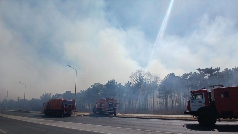 Развожаев: площадь пожара в Севастополе увеличилась до 12 га