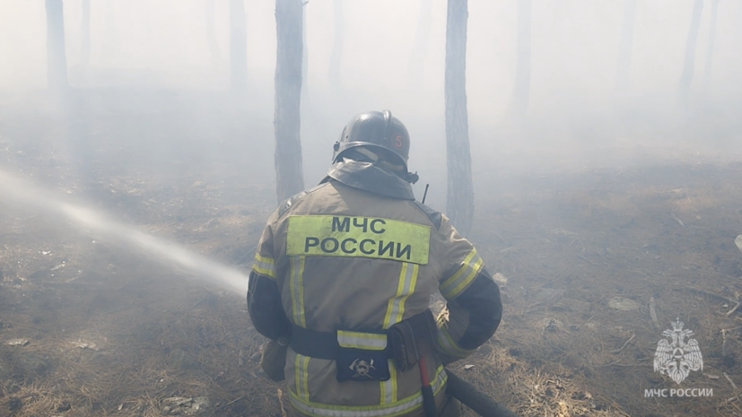 В Севастополе локализовали крупный пожар в районе Камышового шоссе