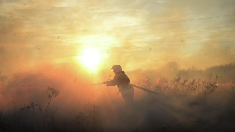 Площадь пожара в Крыму составляет около 7 тысяч гектаров