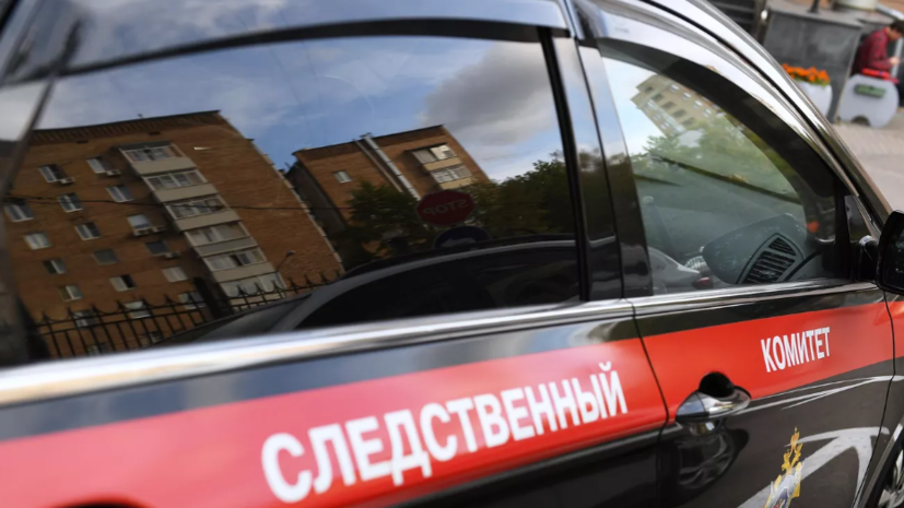 В Нижегородской области завели дело по факту нападения собаки на трёхлетнего ребёнка