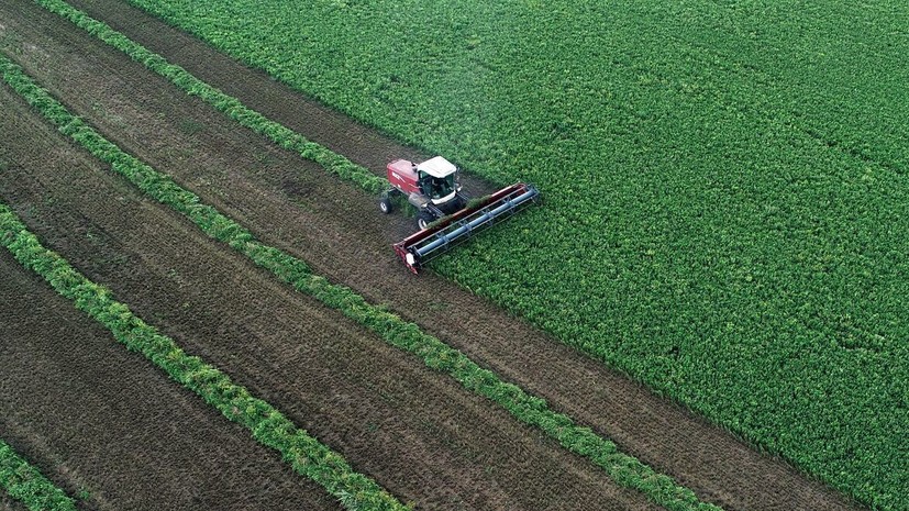 РИА Новости: европейские фермеры заявили об ущербе от торгового соглашения с США