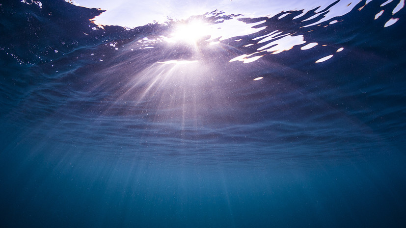 В Москве увеличили число разрешённых для купания зон