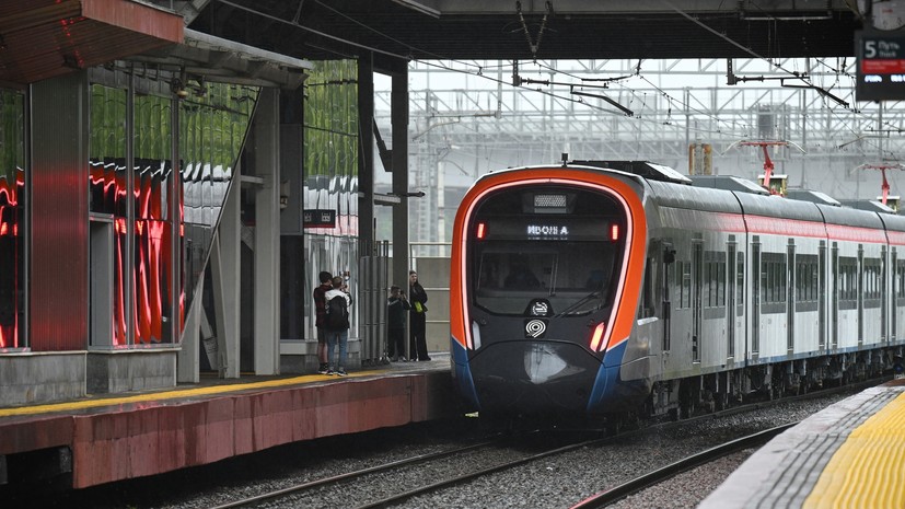 Багреева: Москва приобрела 99 вагонов для МЦД за счёт инфраструктурных кредитов