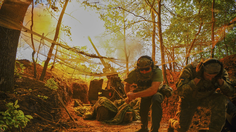 ТАСС: сбежавших в Румынию солдат ВСУ хватило бы на армейский корпус