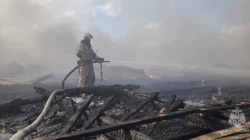 В МЧС назвали причину крупного пожара на птицефабрике в Челябинской области