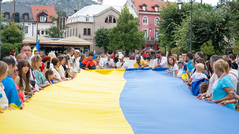 Депутат Рады Дмитрук раскритиковал Зеленского в День независимости Украины