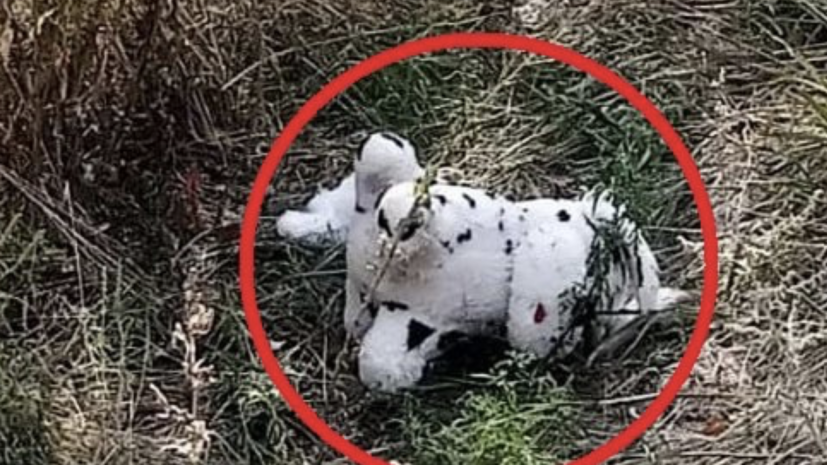 ВСУ при помощи БПЛА подбросили заминированную игрушку в село Харьковской области