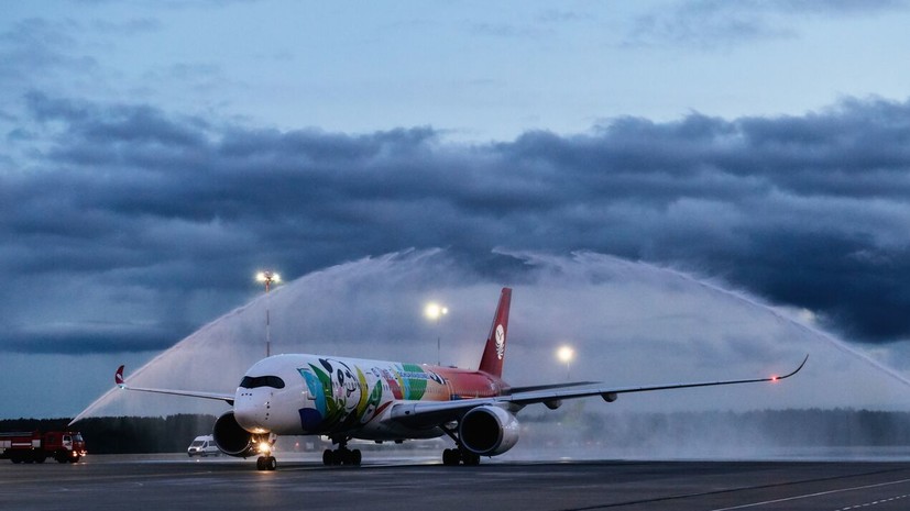 Пулково и аэропорт Пскова временно не обслуживают рейсы