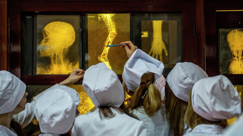 В Госдуме объяснили идею сделать бюджетные места в медицинских вузах целевыми