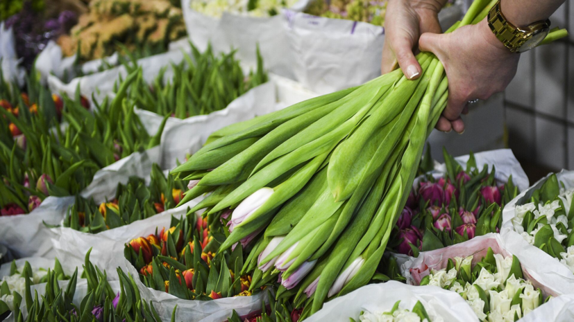 Назван топ-5 самых востребованных цветов для 1 сентября