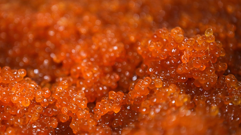 В России цены на красную икру стали ниже