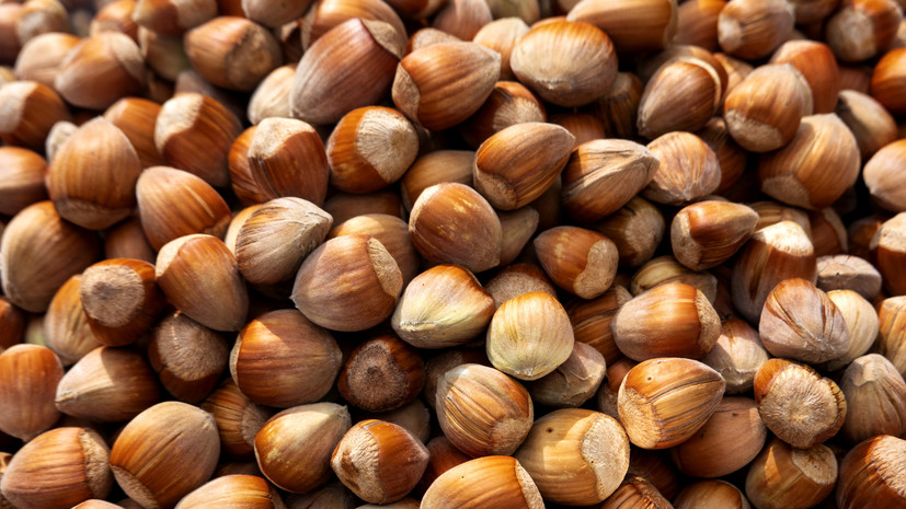 Ореховый Спас: как праздновать, молиться и приготовить вкусную ореховую пастилу