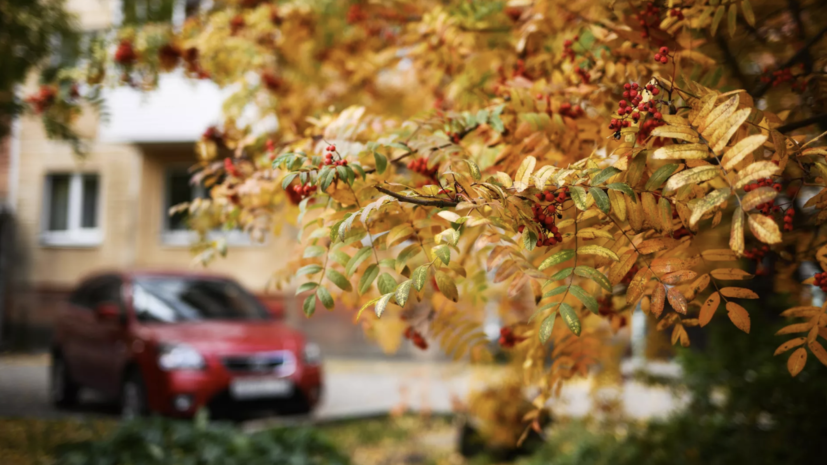 Депутат Госдумы Колунов напомнил о штрафах за «самозахват» парковки во дворе